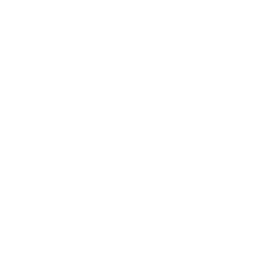 HomeView.online logo